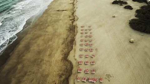 Rows of folded beach umbrellas and empty sunbeds Stock Footage 219681209
