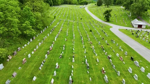 Rows Video stock 335881897