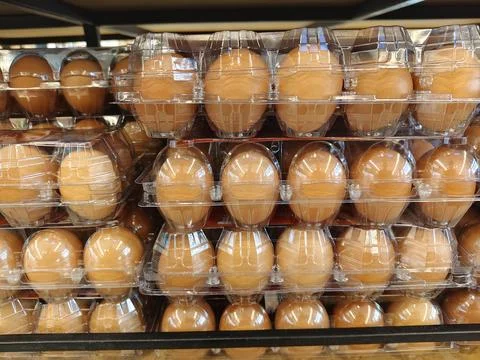 Rows of fresh brown chicken eggs packed in clear plastic cartons Stock Photos