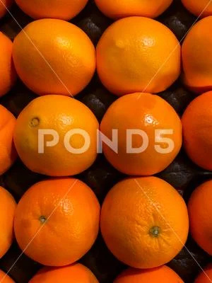 Rows of fresh Florida oranges on a black background