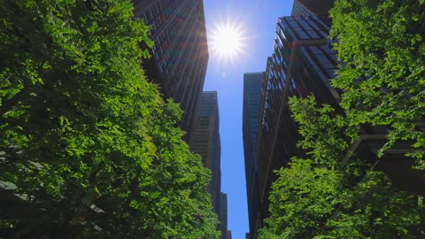 Rows of fresh green trees stand at Marunouchi Naka-dori Avenue in Tokyo Japan. Stockbeeldmateriaal 210003371