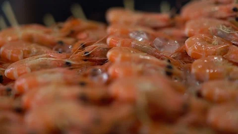 Rows of fresh pink prawns on ice Video stock 115076999