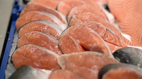 Rows of fresh salmon steaks are neatly arranged on a blue tray, showcasing th Vidéo 274656074