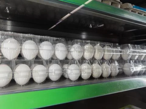 Rows of fresh white chicken eggs in clear plastic containers arranged on a .. Stock Photos