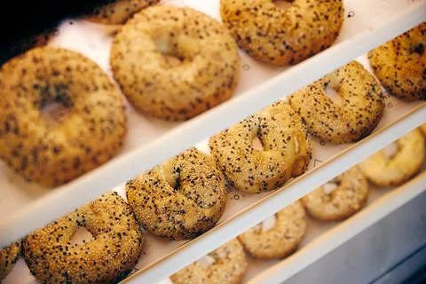 Rows of freshly made bagels Stock Photos