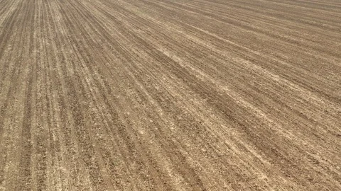 Rows of furrows from above 4K aerial video Stock Footage 110626304