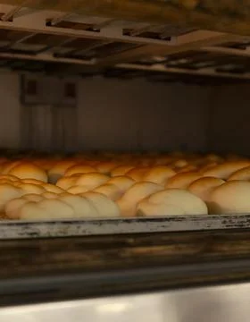 Rows of golden bread rolls baking on metal trays in warm industrial oven glow 스톡 사진