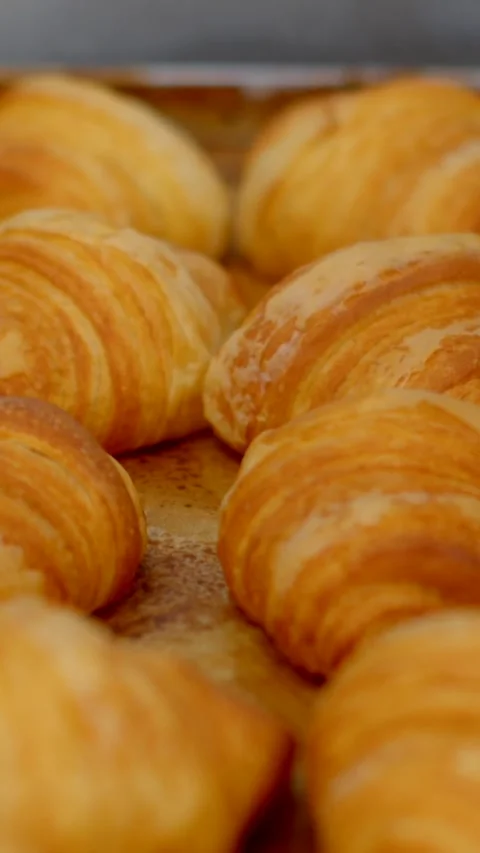 Rows of golden croissants on tray, low bakery viewpoint with flaky layers close Видео 344571346