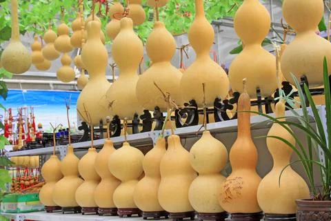 Rows of gourd on the shelf Stock Photos