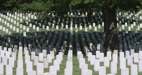 Rows of government-issued grave markers in Arlington National Cemetery, Stock Footage 59263233
