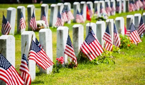 Rows of grave markers with American flags Foto stock