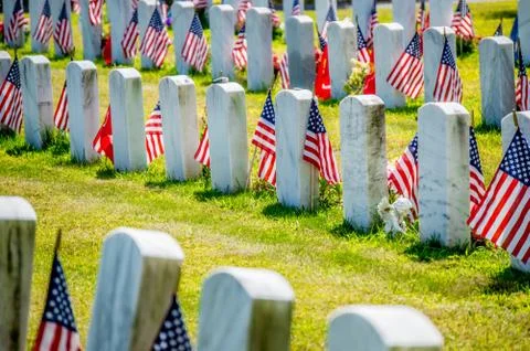 Rows of grave markers with American flags Stock Photos