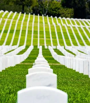 Rows of grave markers on a hillside Stock Photos