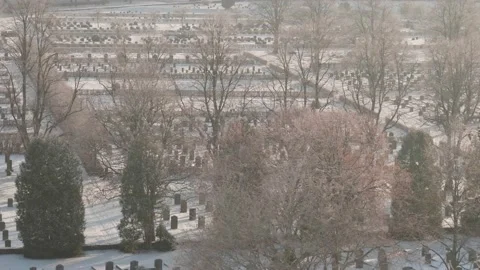 Rows of Graves and Bare Trees, Cemetery Snowy Winter Scene, High Angle, Tilt Up Stock Footage 237001044