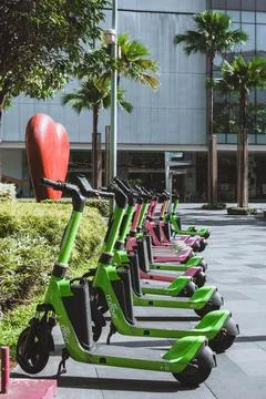 Rows of green and pink shared electric scooters parked beside tropical Foto stock