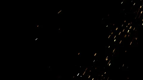 Rows of green corn stalks growing in a field Stock Footage 327581494