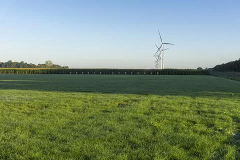 Rows of green crops stretch toward wind turbines Foto stock