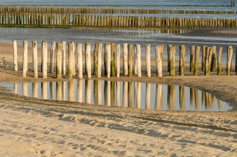 Rows groynes on the beach. Stock Photos