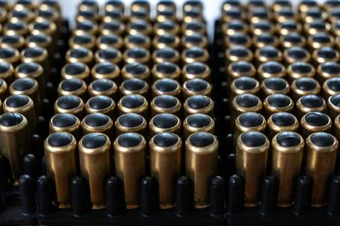 Rows of handgun ammunition with rubber bullets in plastic tray Fotos Stock