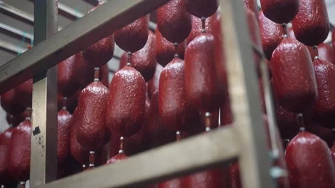 Rows of hanging sausages in meat processing facility, industrial food Video stock 333531696