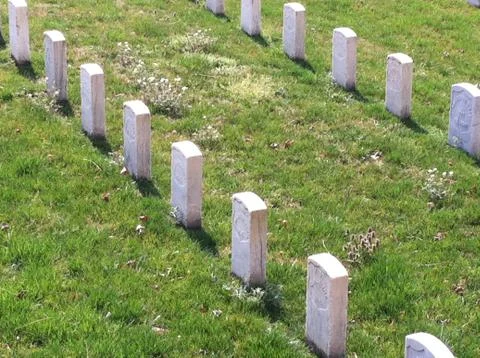Rows of Headstones Stock Photos
