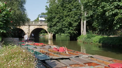 Rows of hire punts in preparation along the River Cherwell, Magdalen Bridge Stock Footage 160998746