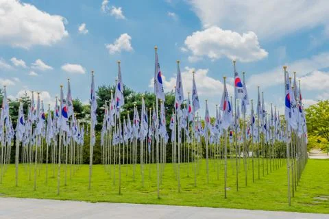 Rows of Korean flags Stock Photos