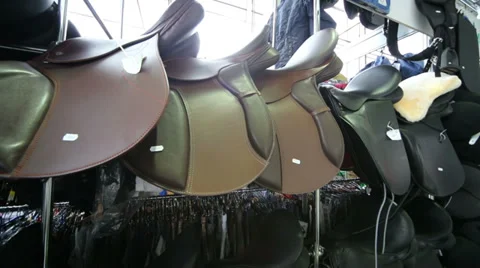 Rows of leather saddles for horses in specialized shop Vidéo 38168214