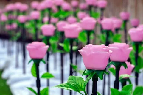 Rows of LED artificial pink rose lights in illuminated garden on artificial.. Stock Photos