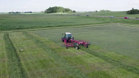 The rows making from dry hay before baling. Stock Footage 197098674