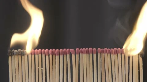 Rows of matches burning with flames close-up.  Stock Footage 220050462