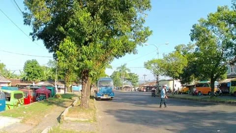 Rows of micro buses that are parked waiting for passengers 스톡 동영상 242661983