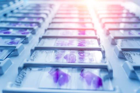 Rows of microscope glass slide in the cells Stock Photos