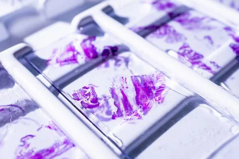 Rows of microscope glass slide in the cells Stock Photos