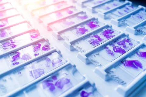 Rows of microscope glass slide in the cells Stock Photos