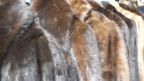 Rows of mink coats. 動画素材 111683205