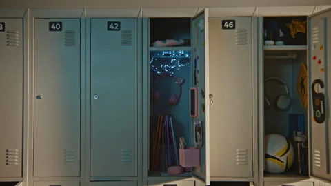 Rows of Neatly Arranged Lockers Represent Structure, Organization, Daily Stock Footage 342020310