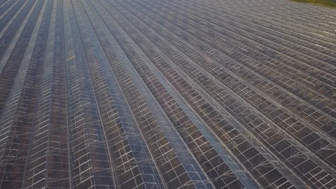 Rows of new constructions of green houses. Aerial view. Stock-Footage 120741919