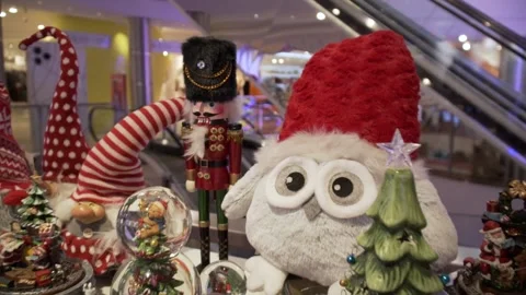 Rows of Nutcrackers Stock Footage 149082441