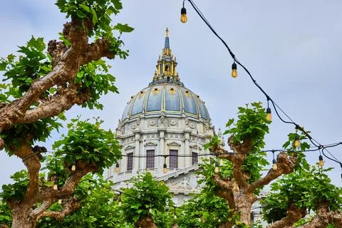 Rows of oak trees with strings of lights and looming city hall in background Stock Photos