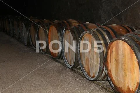 Rows of oak wood wine barrels in winery cellar Stock Photos