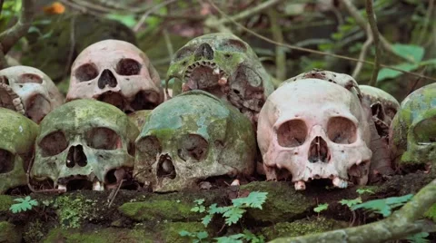 Rows of old mossy green human skulls with 2 fresh ones in Trunyan Cemetery Stock Footage 65250121