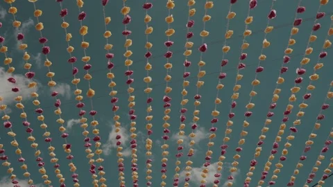 Rows of Orange and Maroon Paper Flowers Hanging at Portuguese Festival Stock Footage 339991730