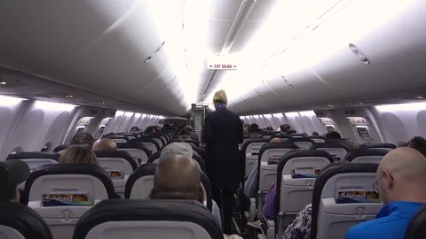 Rows of Passengers inside A Jet Airliner With Flight Attendant Stock Footage 72469544