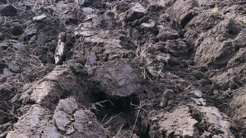 Rows pattern of plowed soil for agriculture crops in spring Stock Footage 260837094