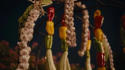 Rows of peppers and garlic hang in warm evening light Stock Footage 331011048
