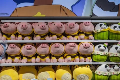 Rows of pig stuff toys Stock Photos