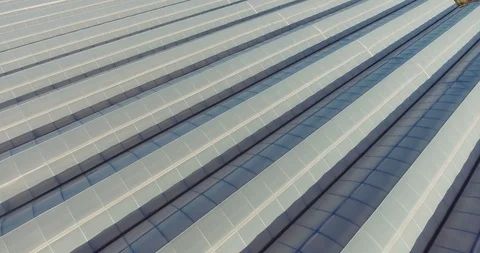 Rows of plants growing inside big industrial greenhouse.Aerial view Stock Footage 97104485