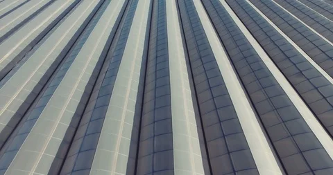 Rows of plants growing inside big industrial greenhouse. Industrial agriculture Stock Footage 97104620
