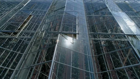 Rows of plants inside the greenhouse Video stock 93170428